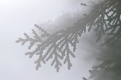 スモーキーなせかい