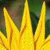 すいてきのせかい-160