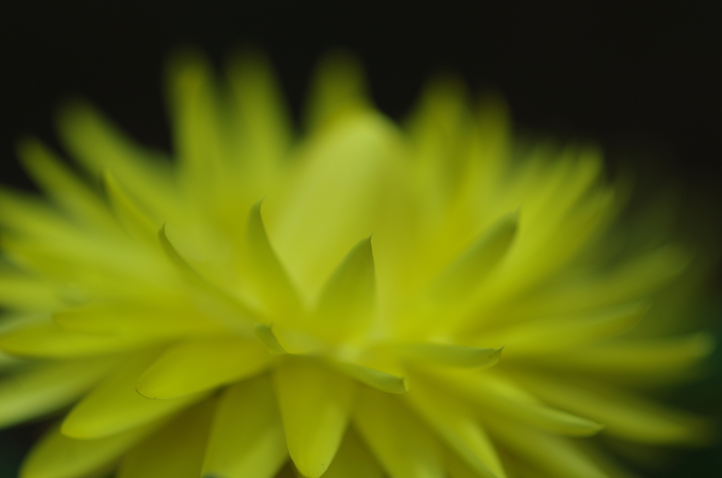 Yellow flame