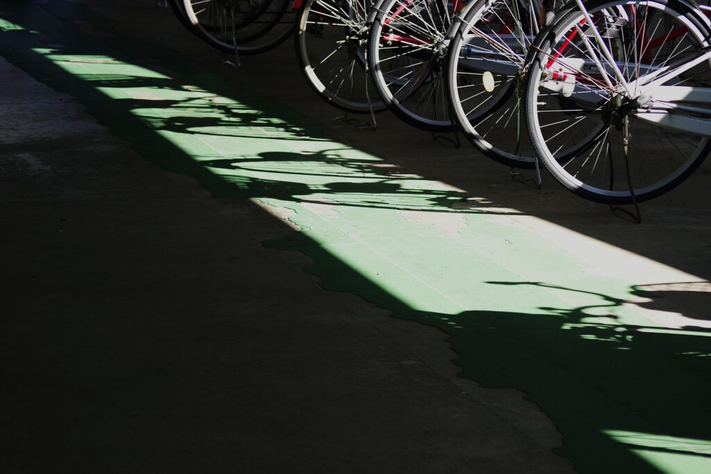 Light and shadow-922