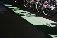 Light and shadow-922