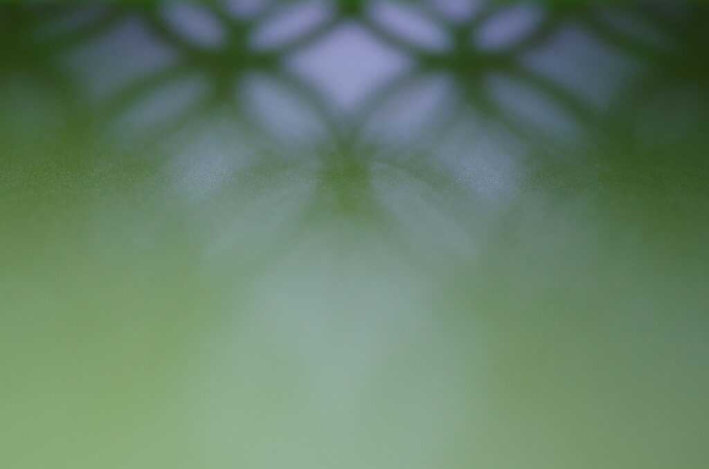 Light and shadow-295