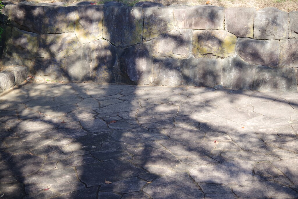 Light and shadow-921