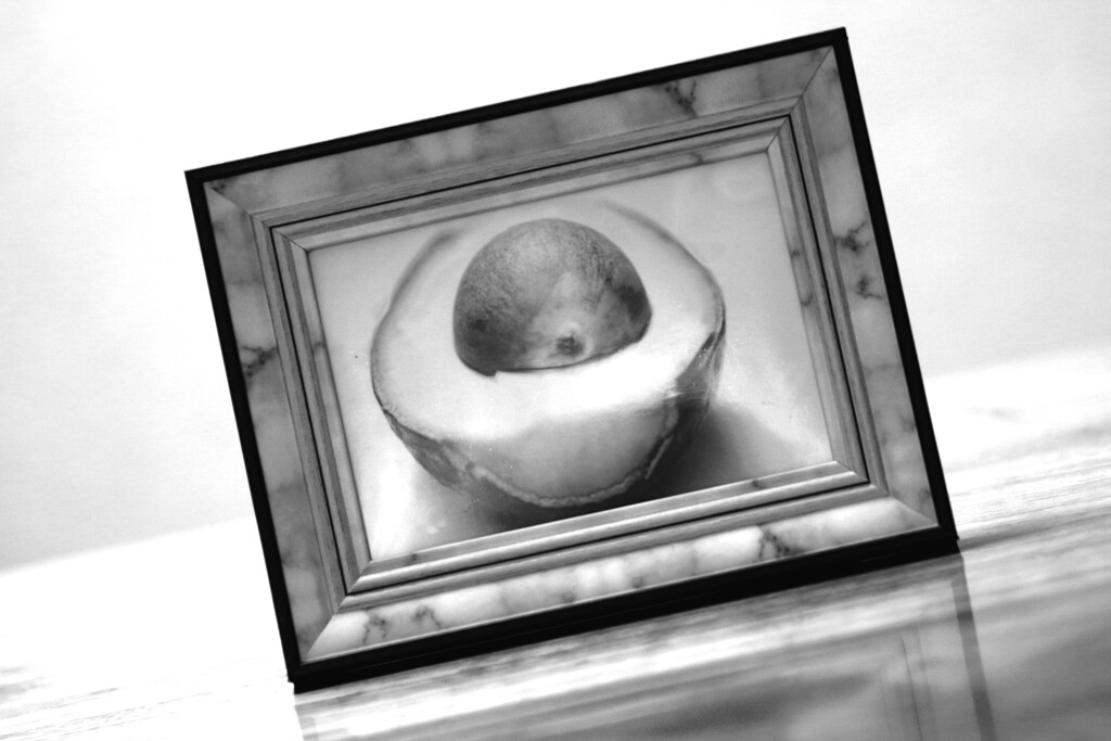 フォトフレームに入れてみた-41 monotone