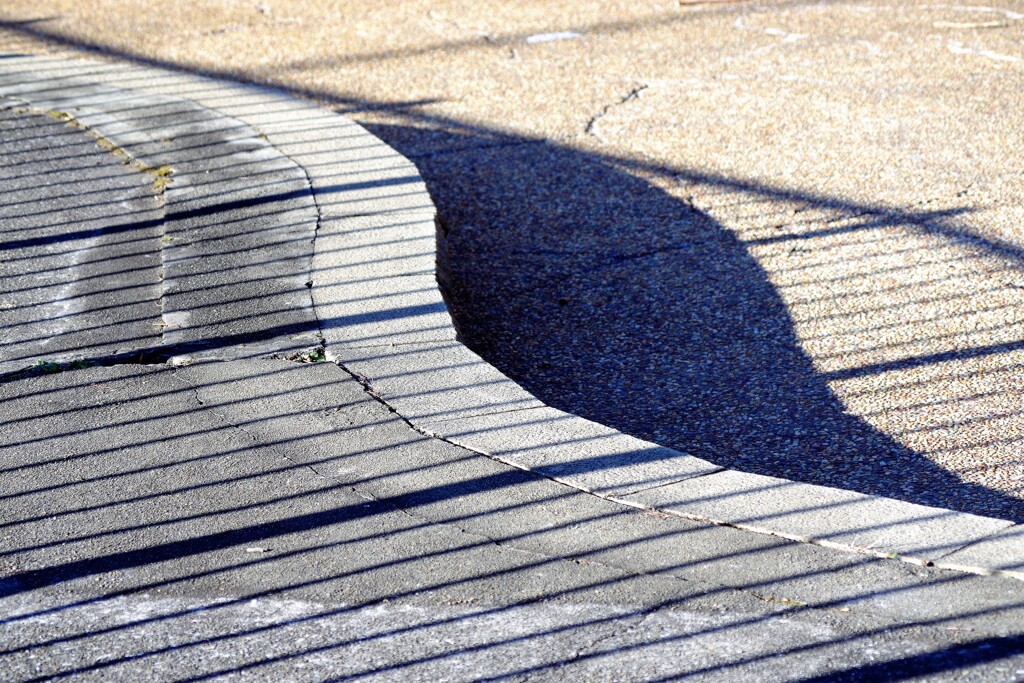 Light and shadow-444