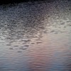夕暮れのさざ波
