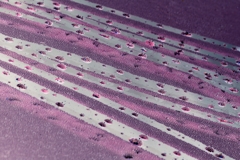 すいてきのせかい-125