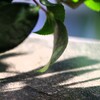 Light and shadow-720