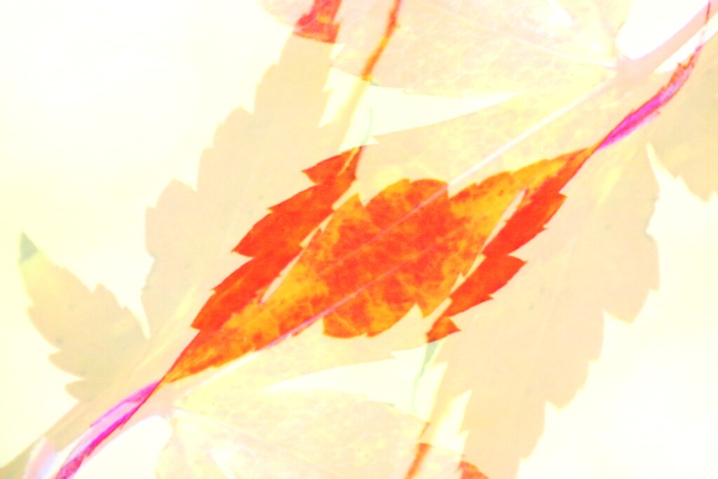 overlap effect-412