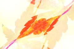 overlap effect-412