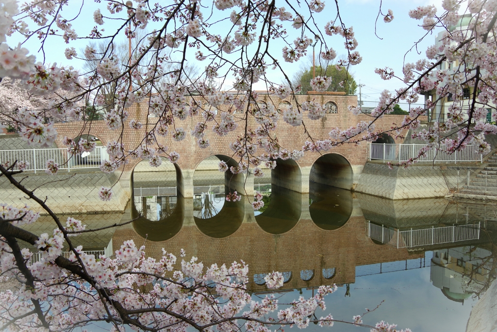 2022...公園の春