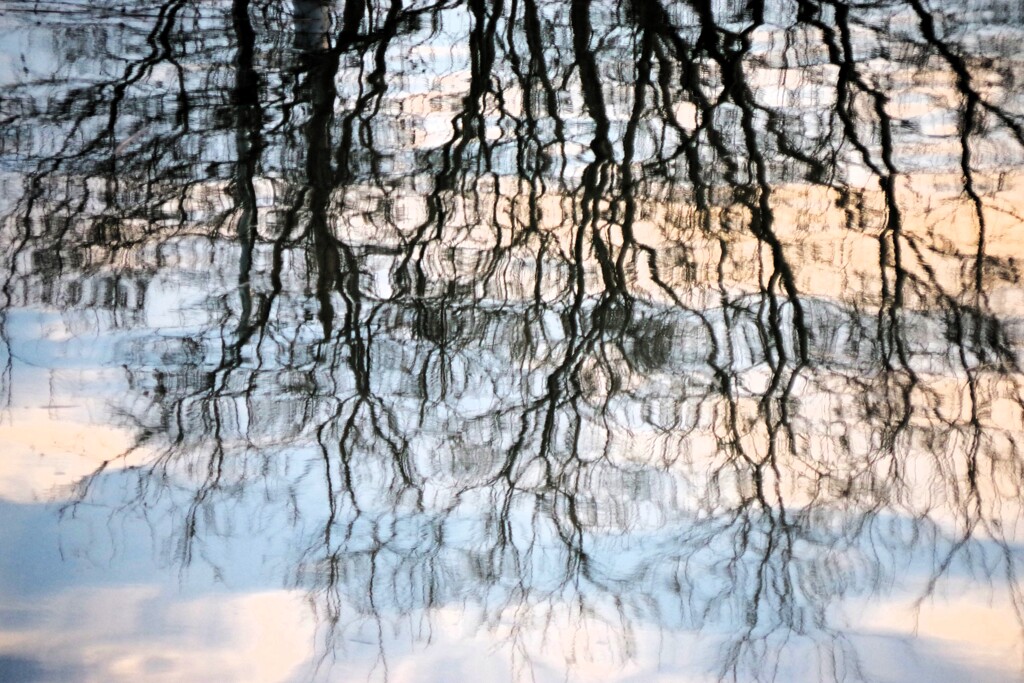 川面の Reflection