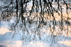 川面の Reflection