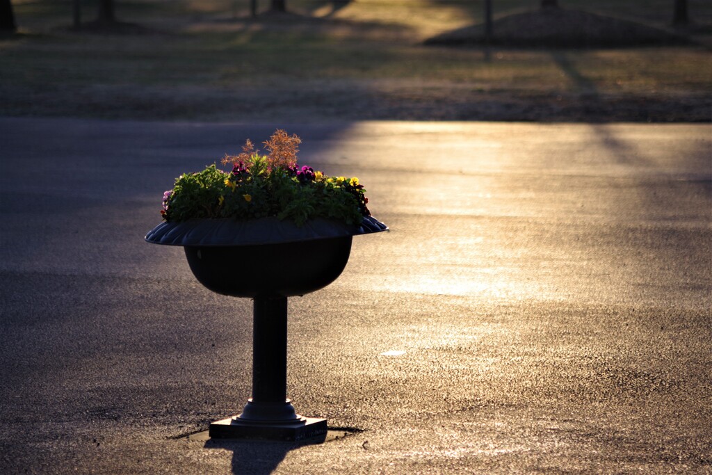 Light and shadow-457