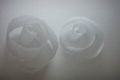 overlap effect-386