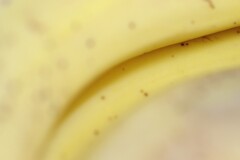 肌-1