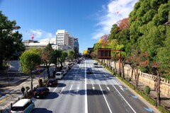 晩秋の靖国通り