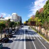 晩秋の靖国通り
