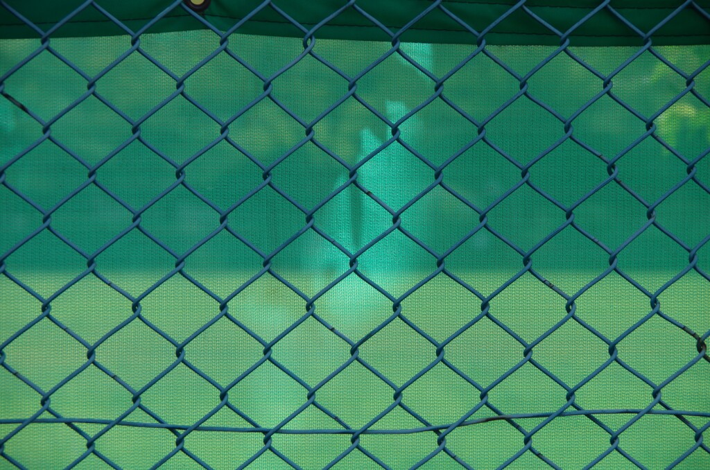 Light and shadow-296