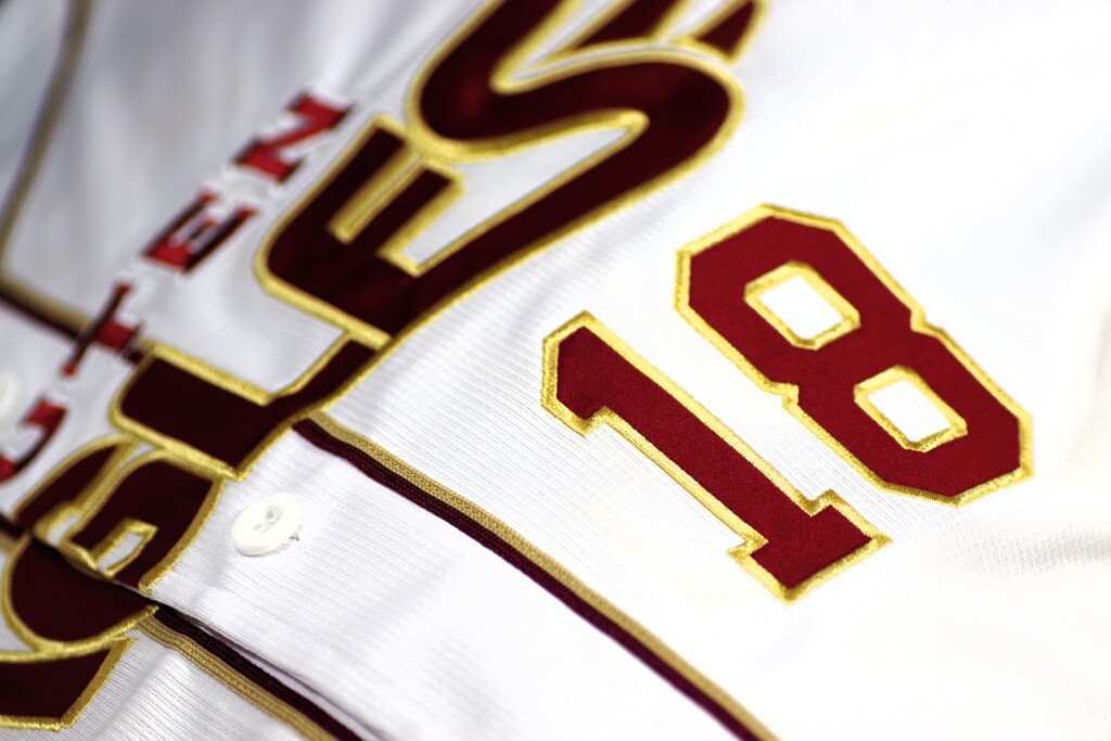 エースナンバー