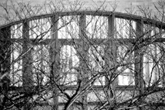 冬木立の空間 monotone