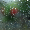 a drop of rain water