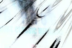 Reflection-574 rverse