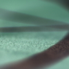 Light and shadow-695