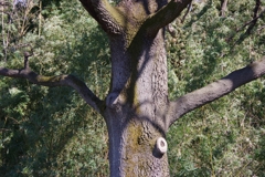 Light and shadow-618