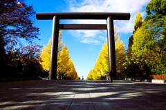 神社の黄-1