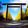 神社の黄-1