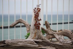 曇天の海を眺め何を想う