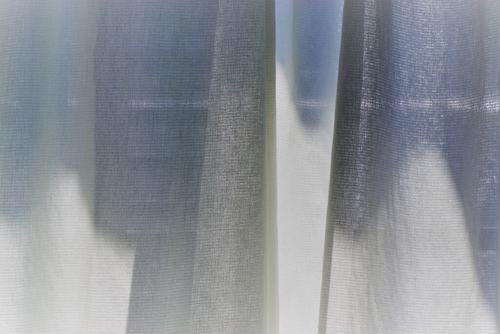 Light and shadow-419