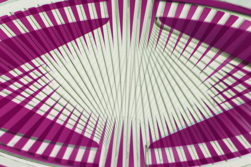overlap effect and reverse-2
