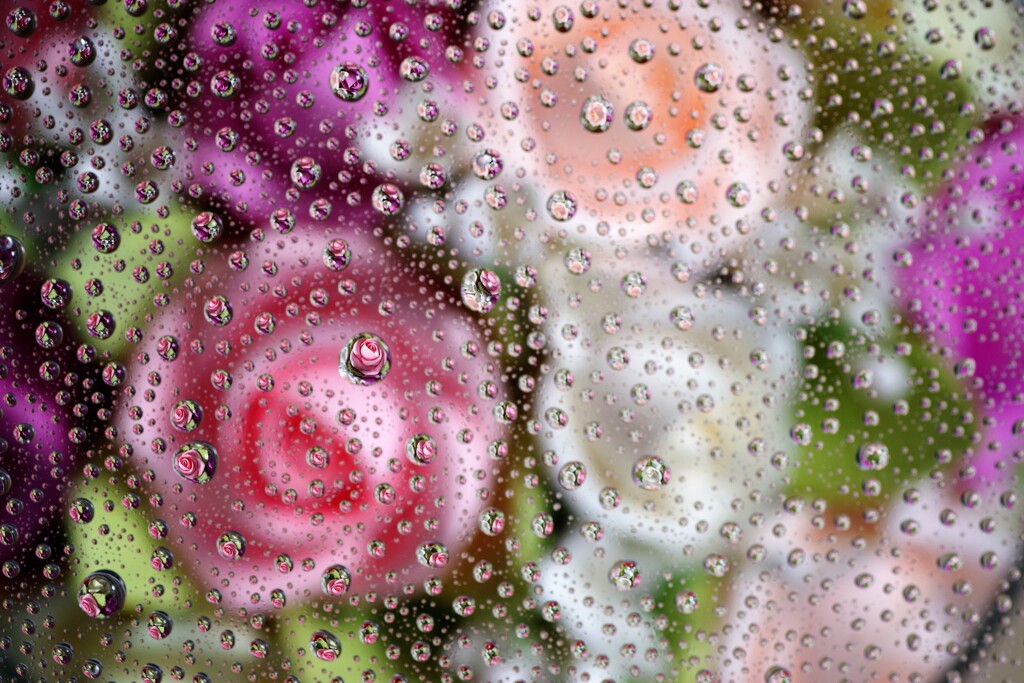 すいてきのせかい-100