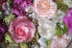 すいてきのせかい-100