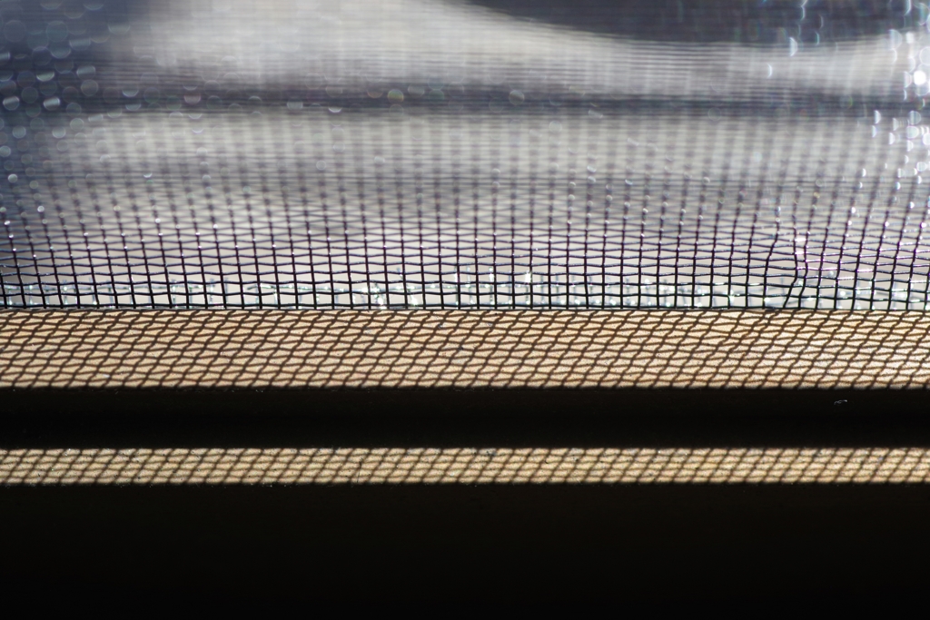 Light and shadow-635