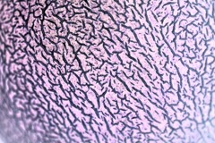 肌-3 reverse