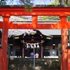 春の玉前神社-1