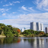 都内庭園　秋-7