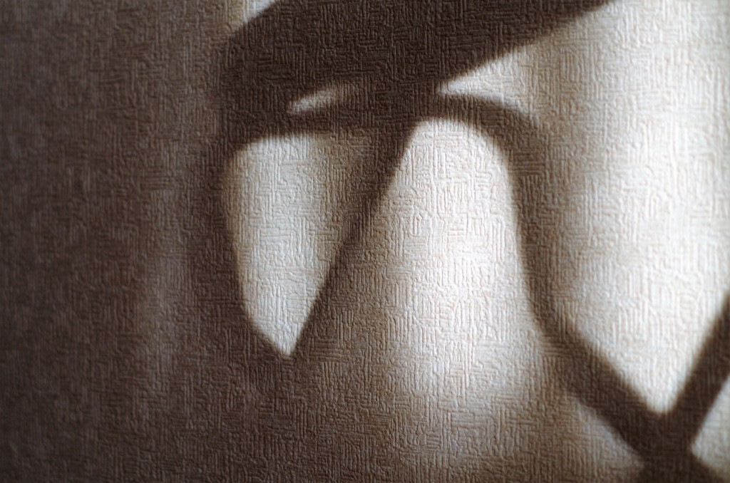 Light and shadow-206
