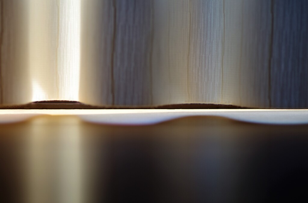 Light and shadow-385