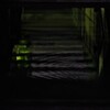 Reflection-258