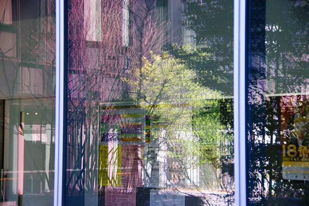 Reflection-289