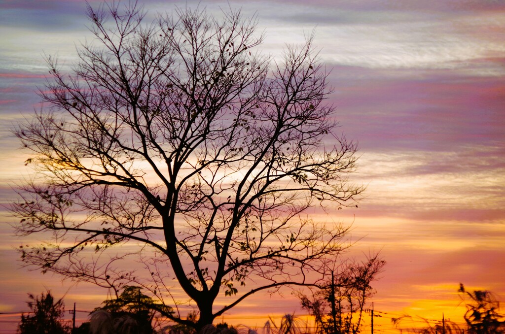 晩秋の夕焼け-1