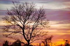 晩秋の夕焼け-1