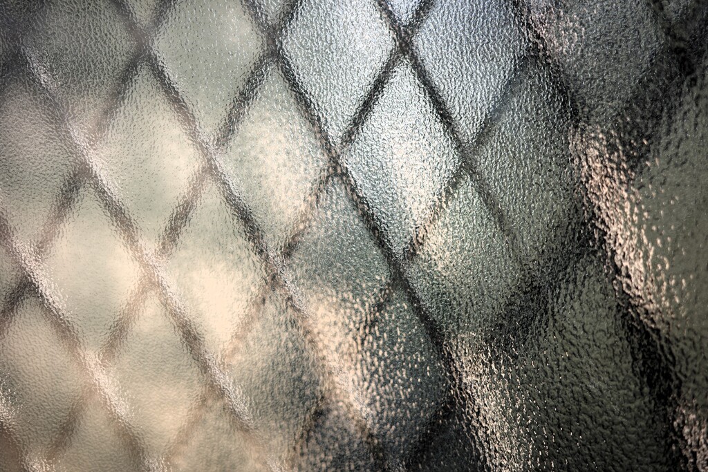 Light and shadow-716