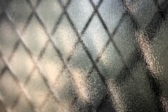 Light and shadow-716