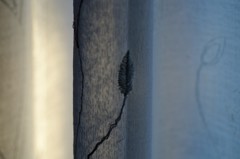Light and shadow-225