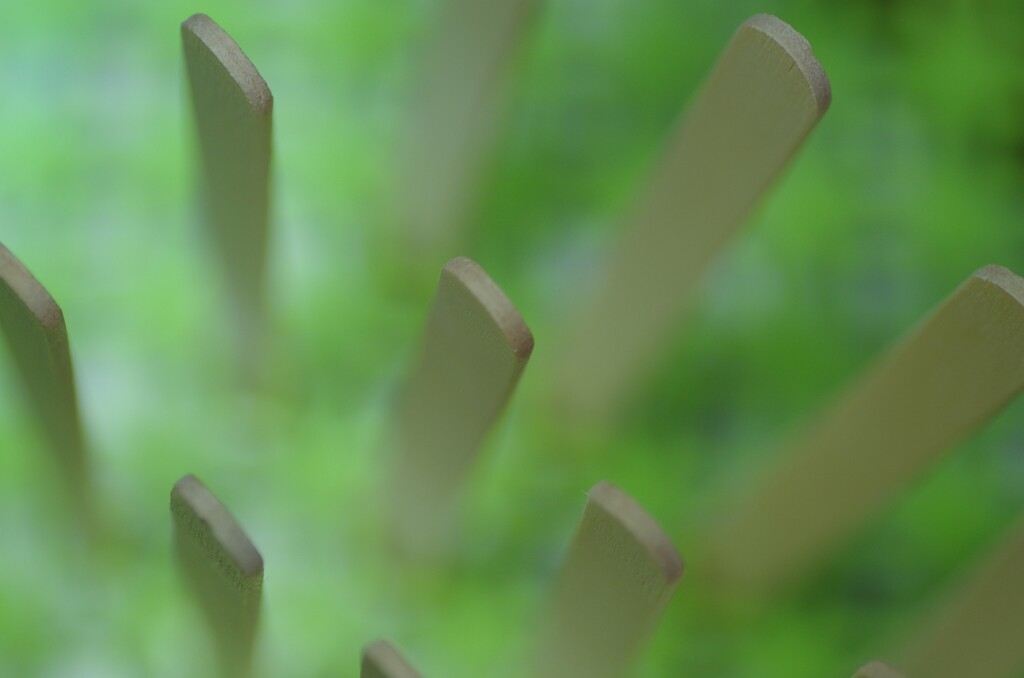 ちょっと肌寒いけど、アイスキャンディーどうぞ…